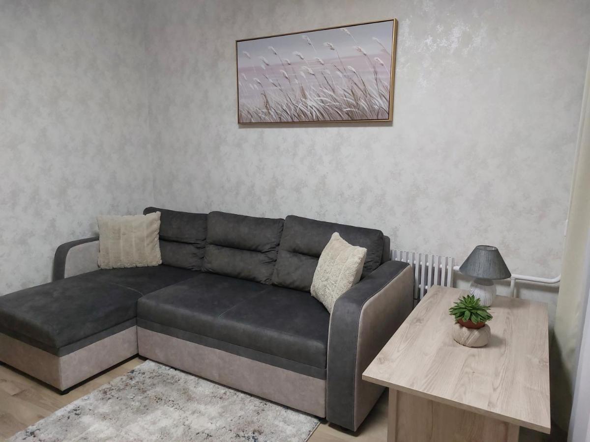 Patogus Poilsis Prie Ezero/Comfortable Rest Вісаґінас Екстер'єр фото